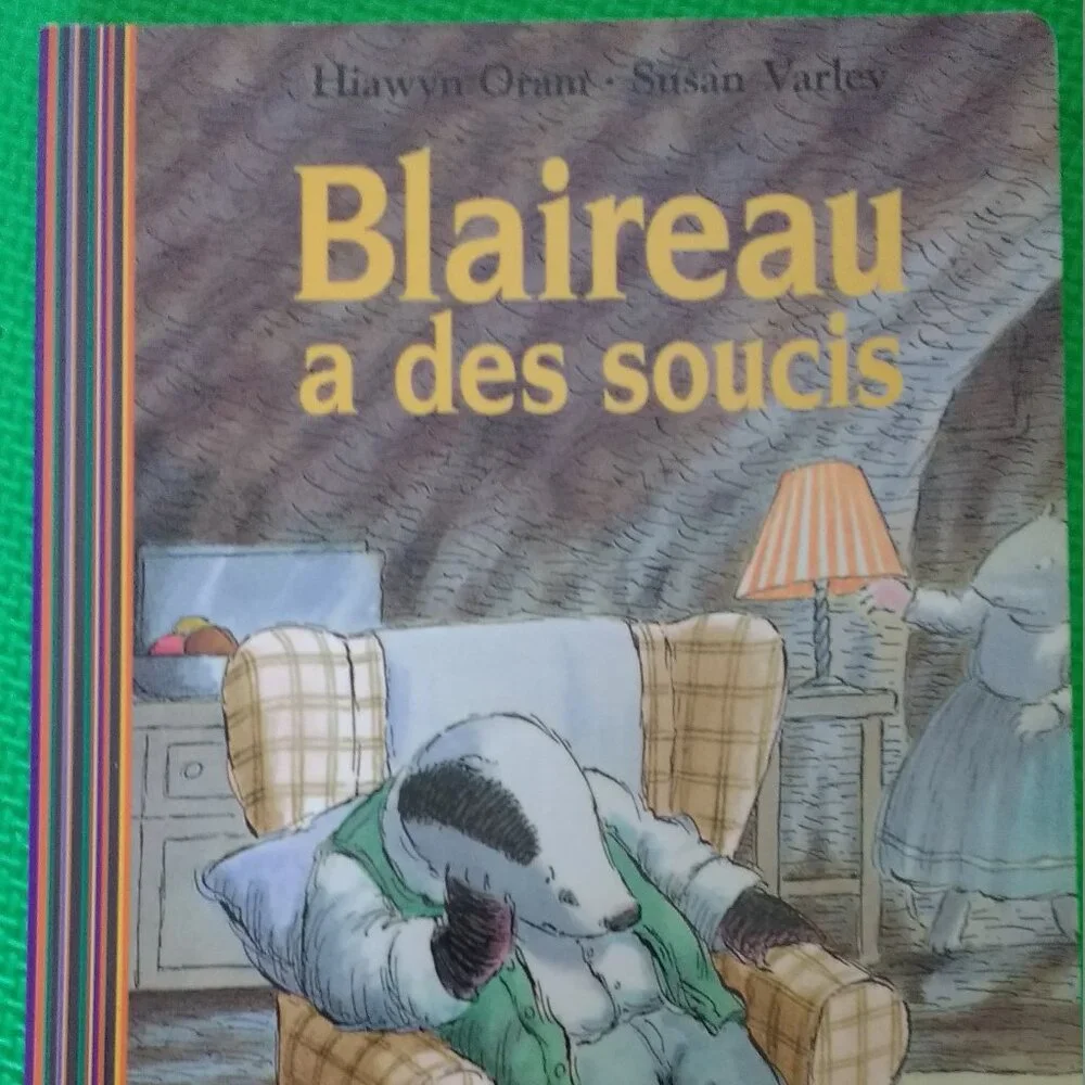 Blaireau a des Soucis by Hiawyn Oram 1997 French New Paperback